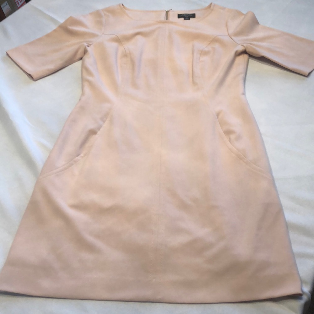 Tahari Dress (Light Pink) -6 petite